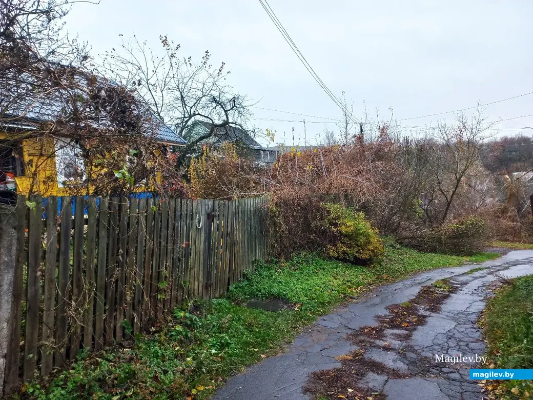 05.11.2024, Могилев, Первый Струшенский овраг.