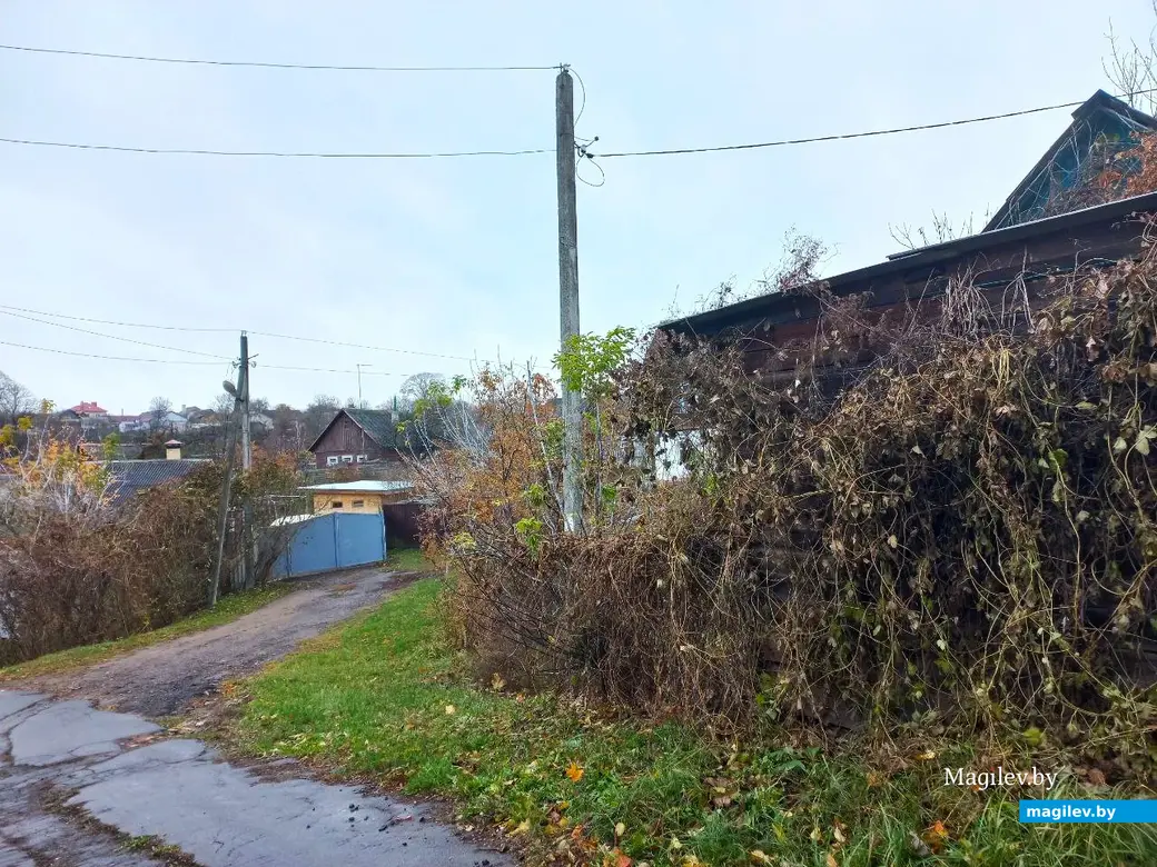 05.11.2024, Могилев, Первый Струшенский овраг.