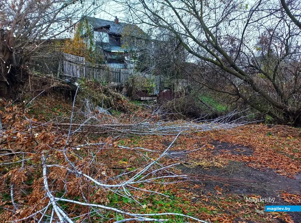 05.11.2024, Могилев, Первый Струшенский овраг.