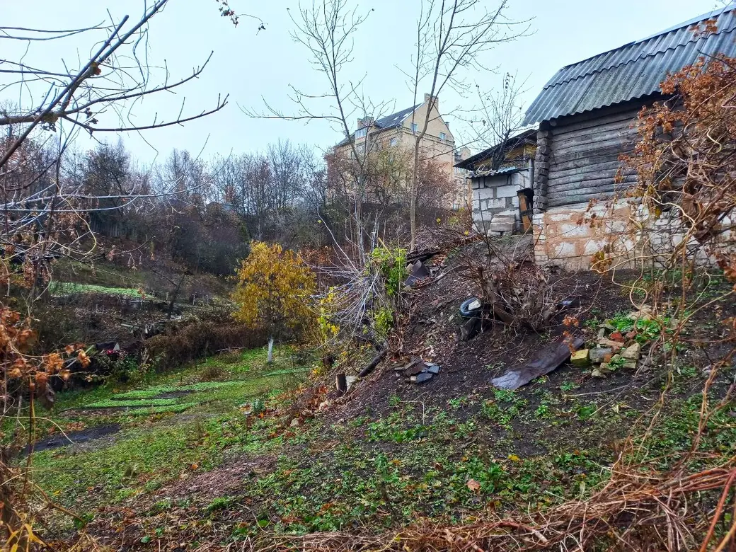 05.11.2024, Могилев, Первый Струшенский овраг.