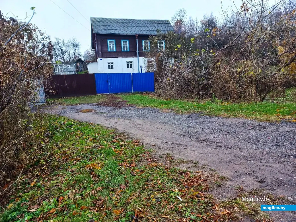 05.11.2024, Могилев, Первый Струшенский овраг.