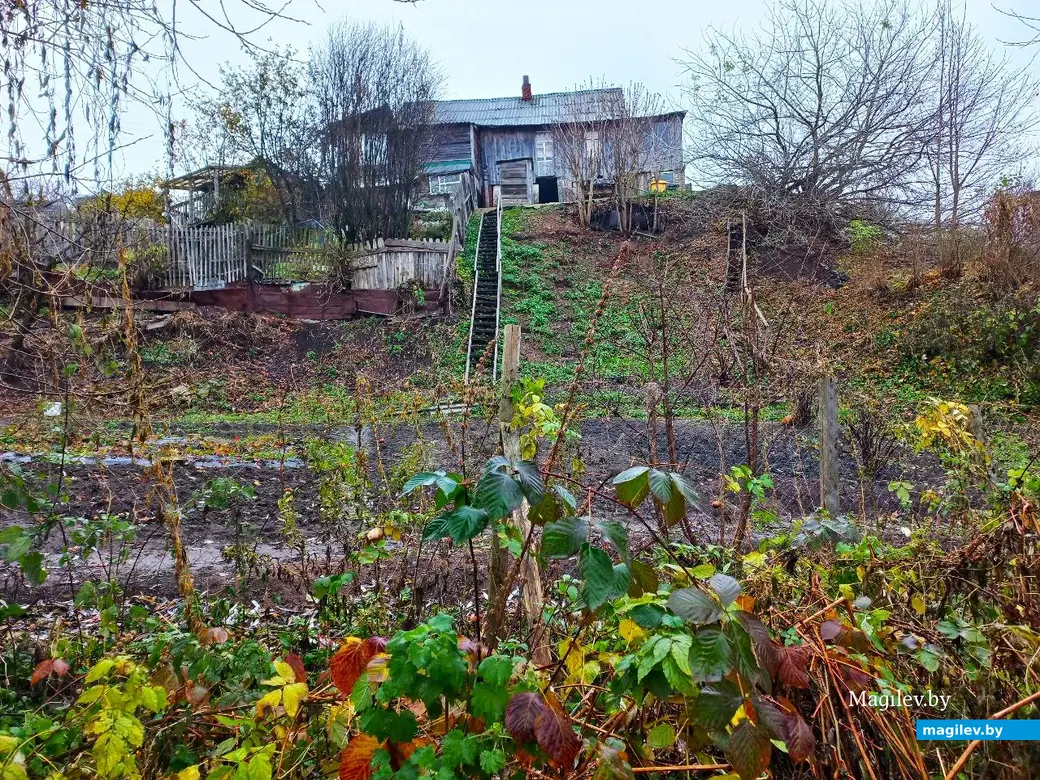 05.11.2024, Могилев, Первый Струшенский овраг.