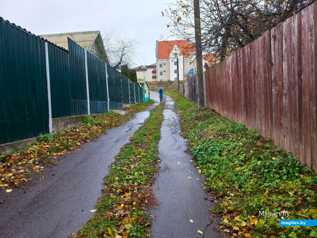 05.11.2024, Могилев, Первый Струшенский овраг.