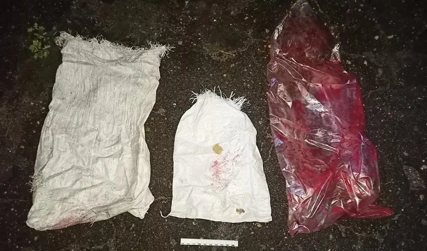 Фото: УГКСЭ по Могилевской области