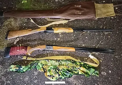 Могилевчане поехали поохотиться на уток, но вместо птиц подстрелили двух косуль