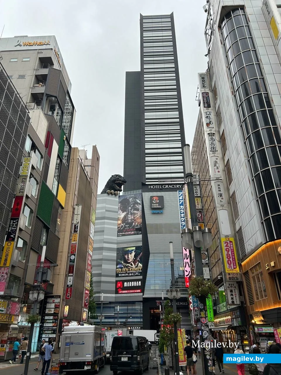 Сентябрь 2024 года. Япония, Токио.