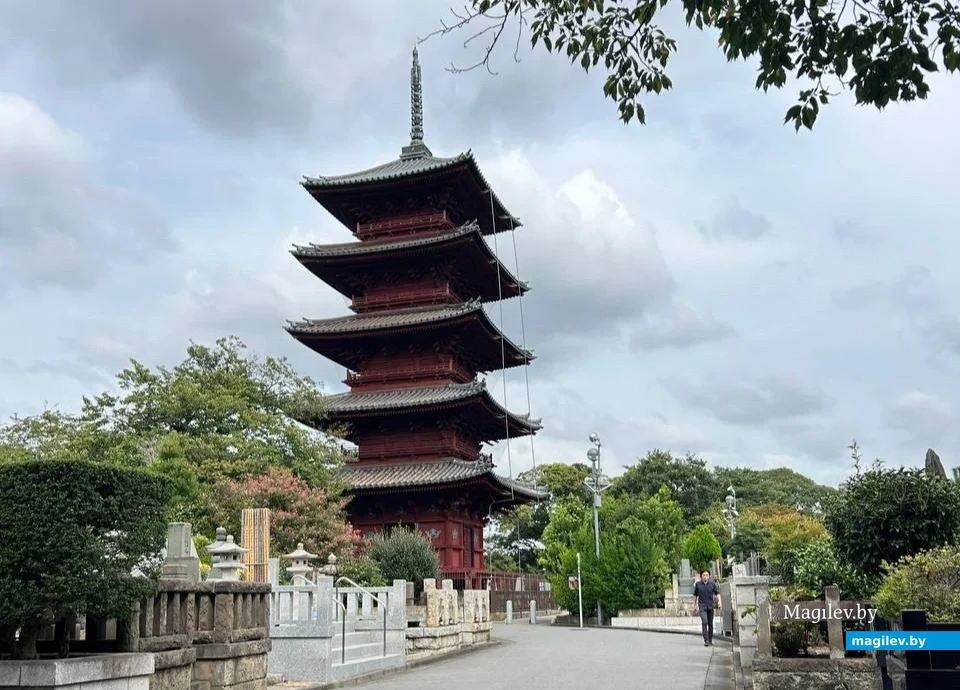 Сентябрь 2024 года. Япония, Токио.