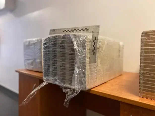 Под Кольно нашли посылку, прикрепленную к воздушному шару. Фото: RMF24.