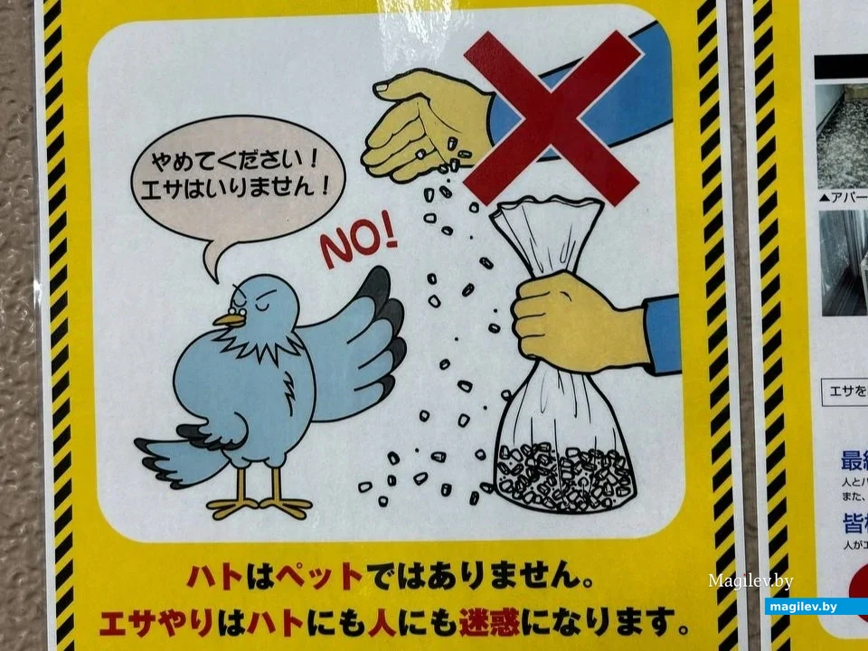 Сентябрь 2024 года. Япония, Токио.