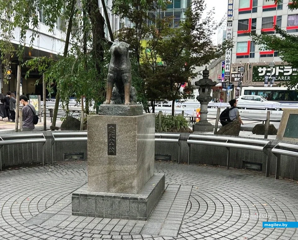 Сентябрь 2024 года. Япония, Токио. Верный Хатико.