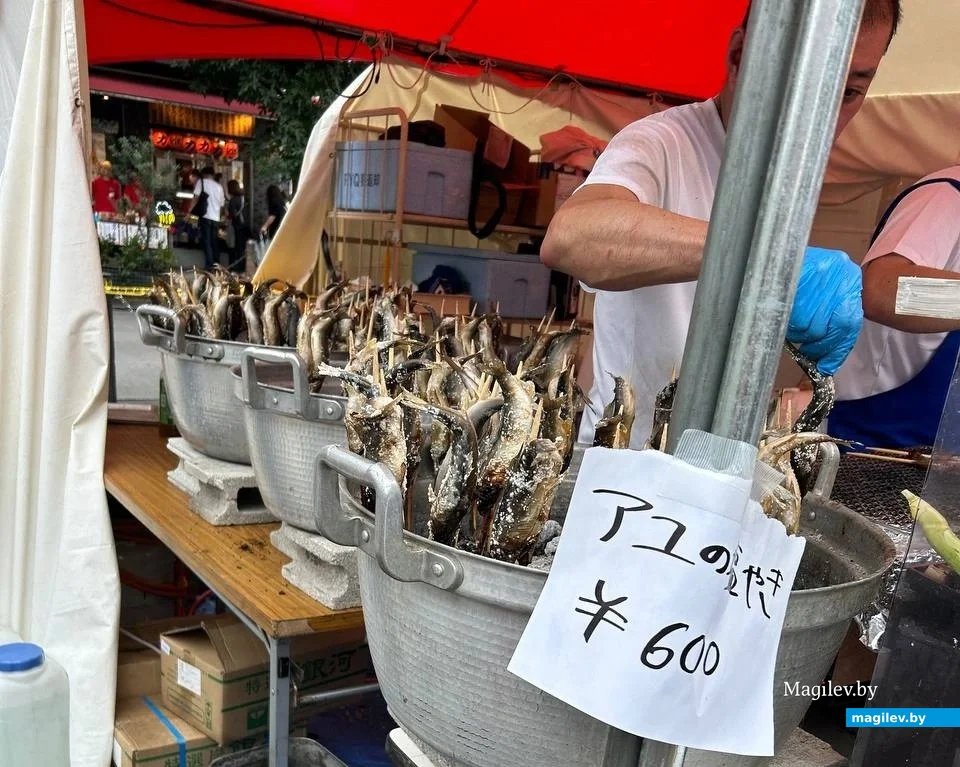 Сентябрь 2024 года. Япония, Токио.