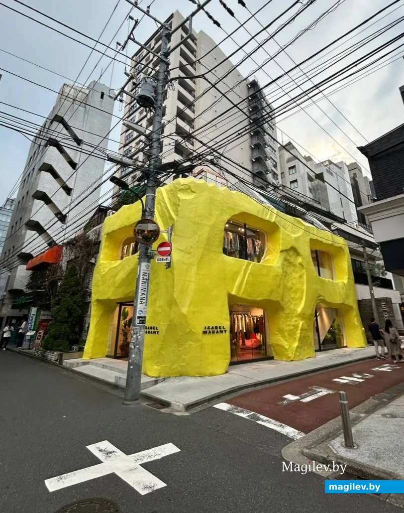 Сентябрь 2024 года. Япония, Токио.