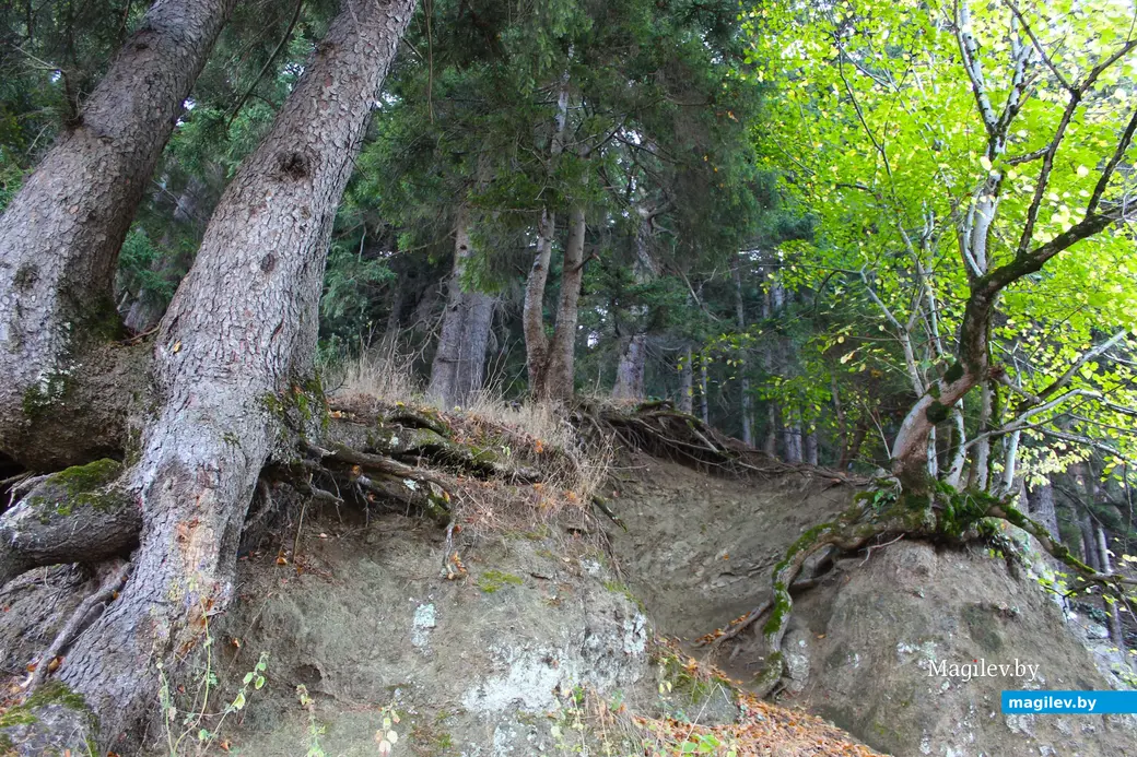 Октябрь 2024 года. Грузия. Горы Квишхети.