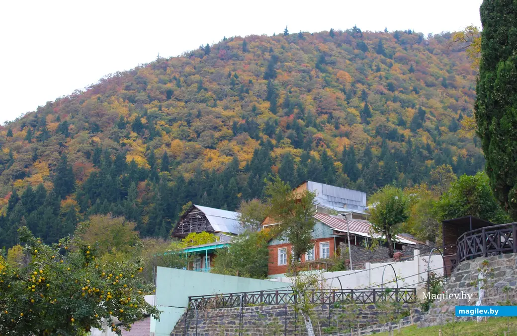 Октябрь 2024 года. Грузия. Квишхети.