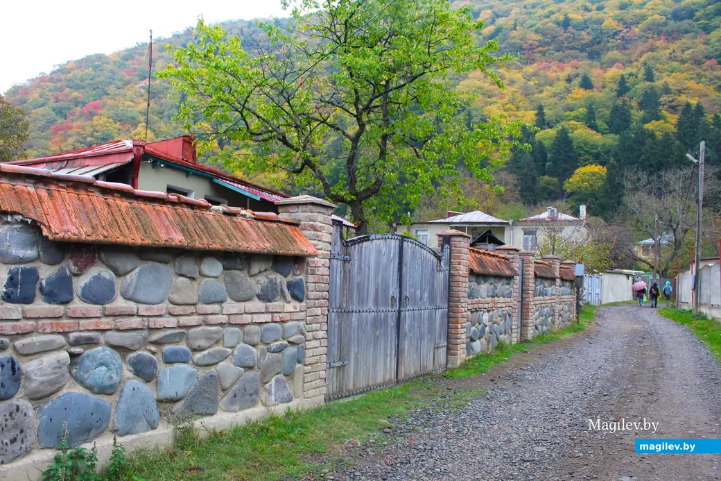 Октябрь 2024 года. Грузия. Квишхети.