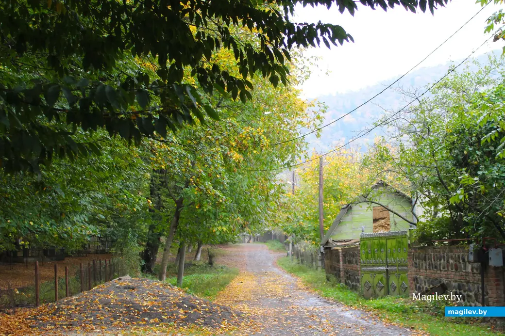 Октябрь 2024 года. Грузия. Квишхети.