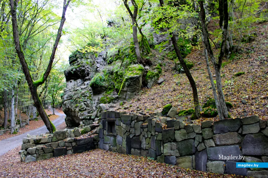 Октябрь 2024 года. Грузия. Дорога к Зеленому монастырю.