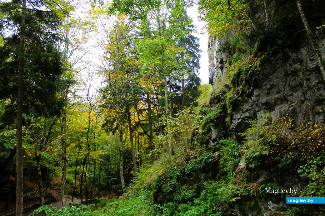 Октябрь 2024 года. Грузия. Дорога к Зеленому монастырю.