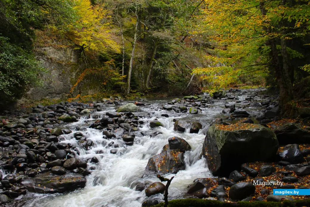 Октябрь 2024 года. Грузия. Боржоми. Парк. Дорога к термальным бассейнам.