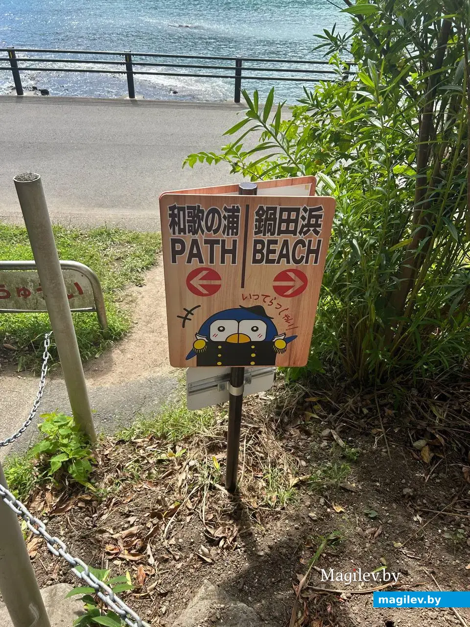 Сентябрь 2024 года. Япония, Симода.