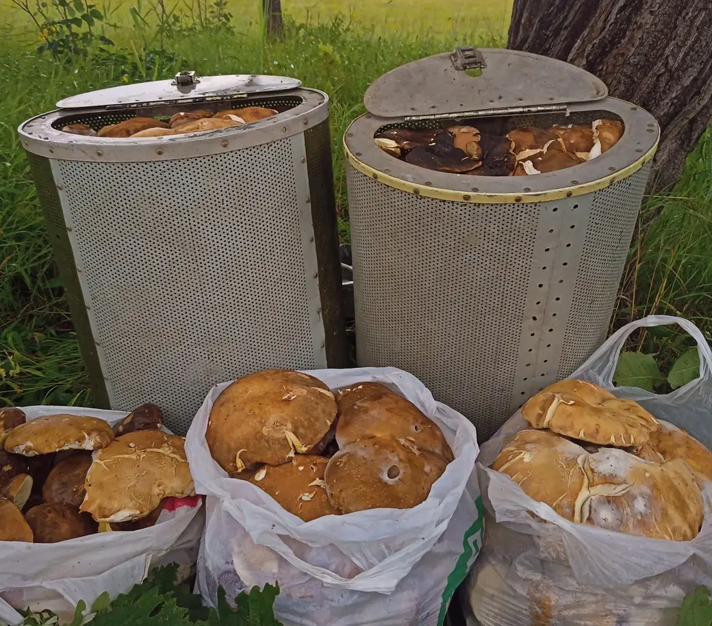 Улов Андрея Агафонова. из Хабаровска..