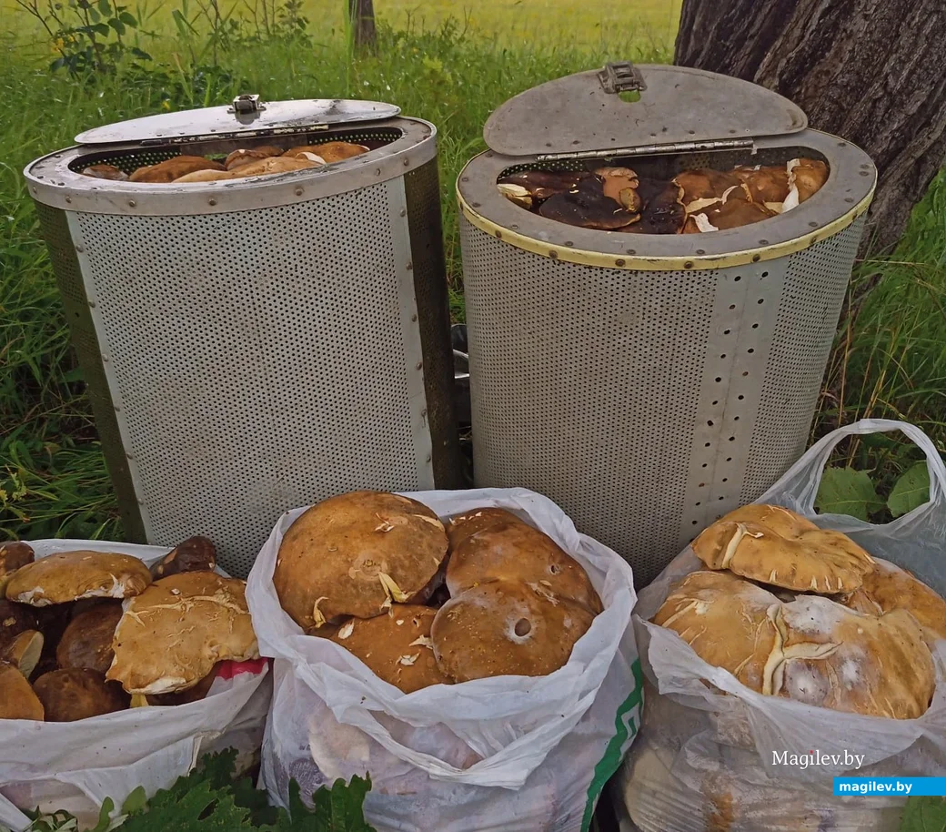 Улов Андрея Агафонова из Хабаровска.