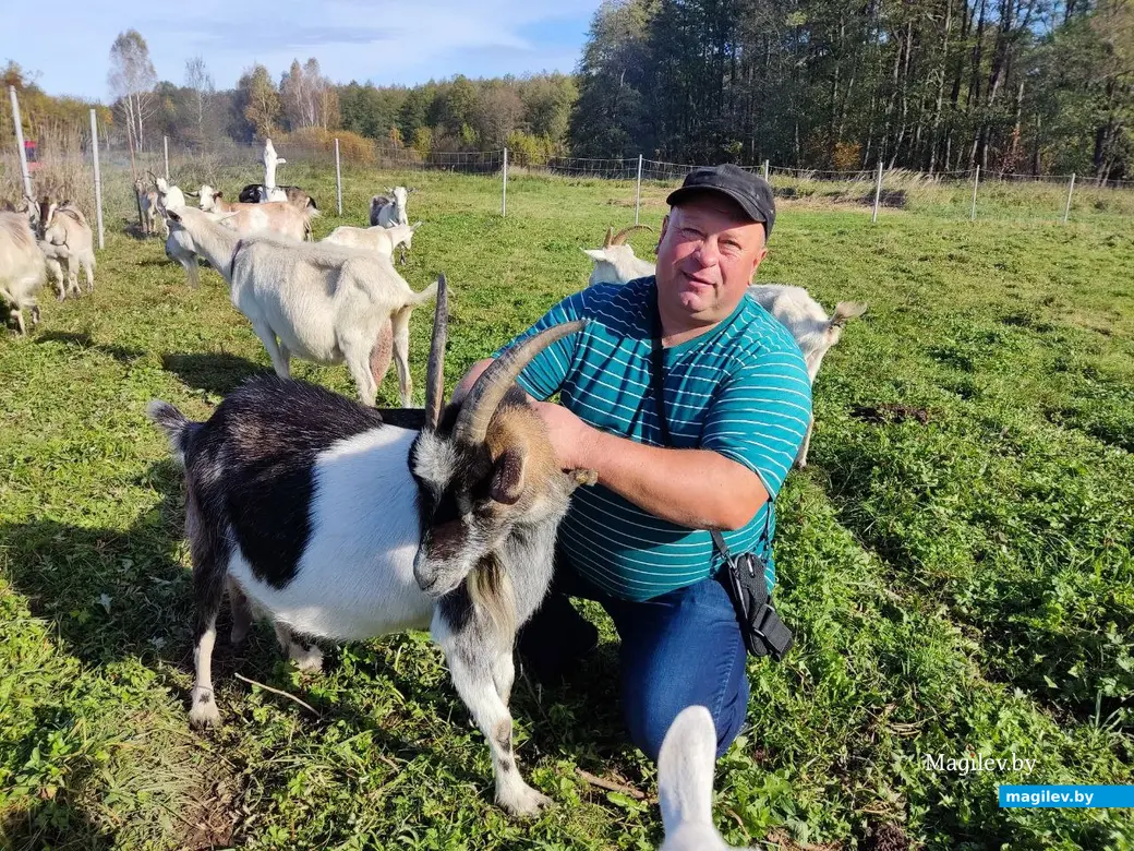 17.10.2024 г. д. Сидоровичи, Могилевский район. Сергей Шамин