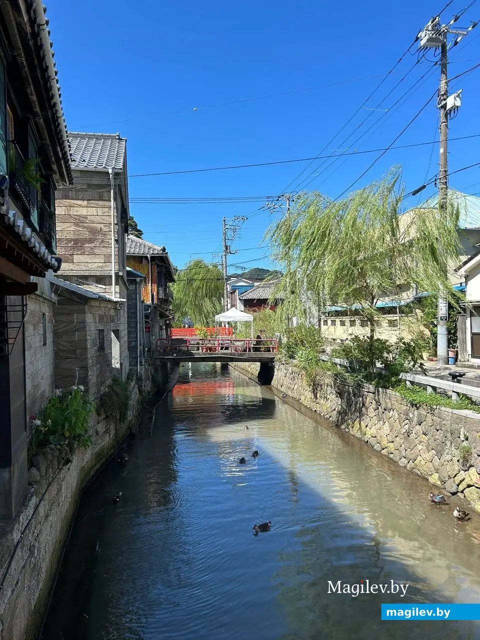 Сентябрь 2024 года. Япония, Симода.