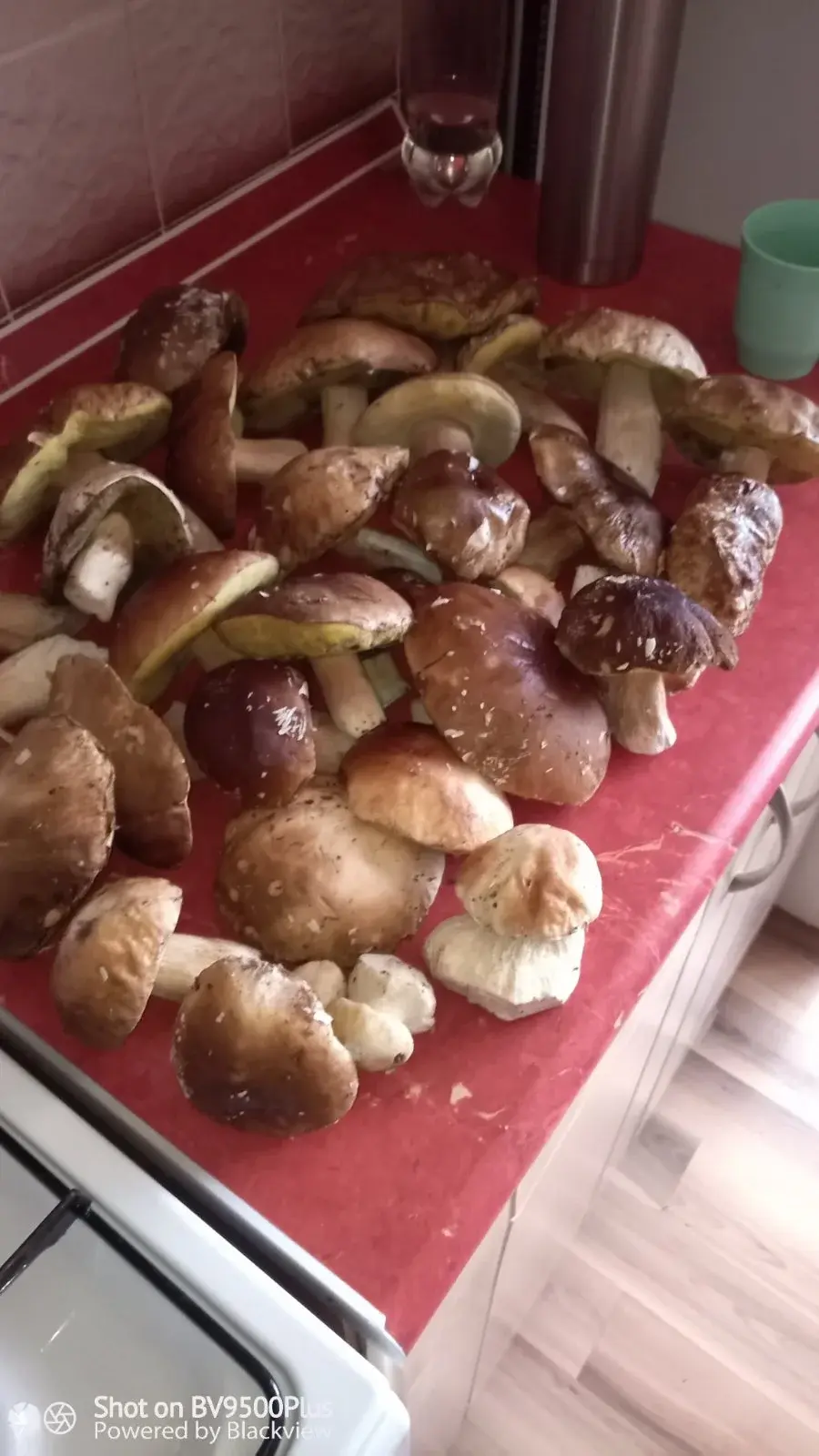 Ноябрь 2024 г.. Слуцкий район. Улов Надежды Лесун из Слуцка.