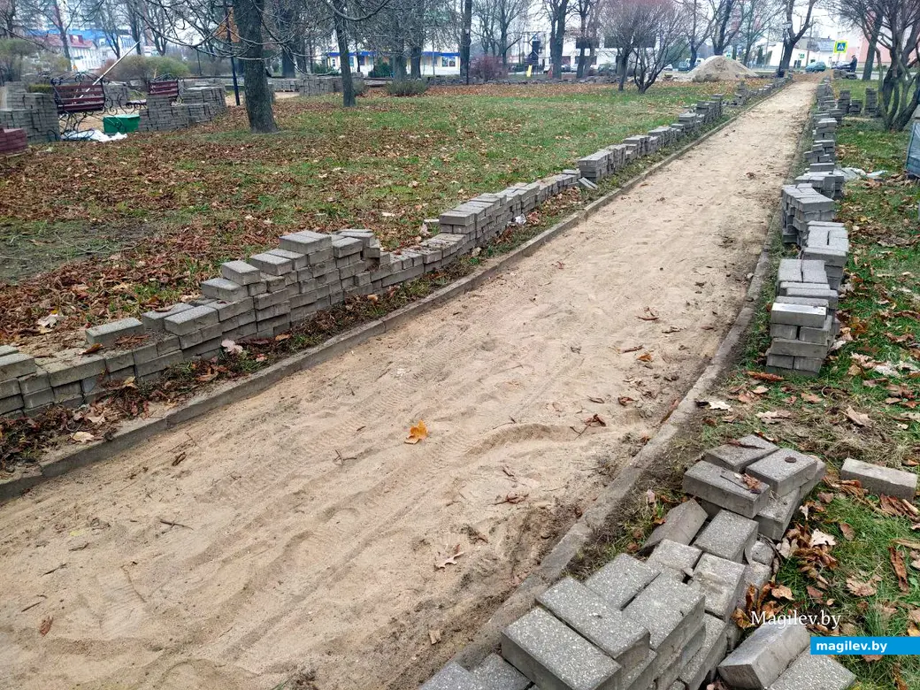 13 ноября 2024 года. Могилев. Пушкинский проспект. Сквер 700-летия Могилева.