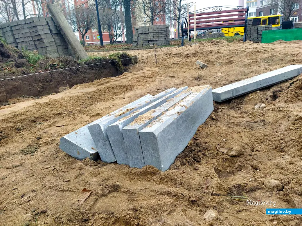 13 ноября 2024 года. Могилев. Пушкинский проспект. Сквер 700-летия Могилева.