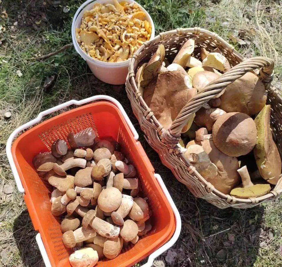 Трофеи Сергея и Артема Костусевых из Могилева.