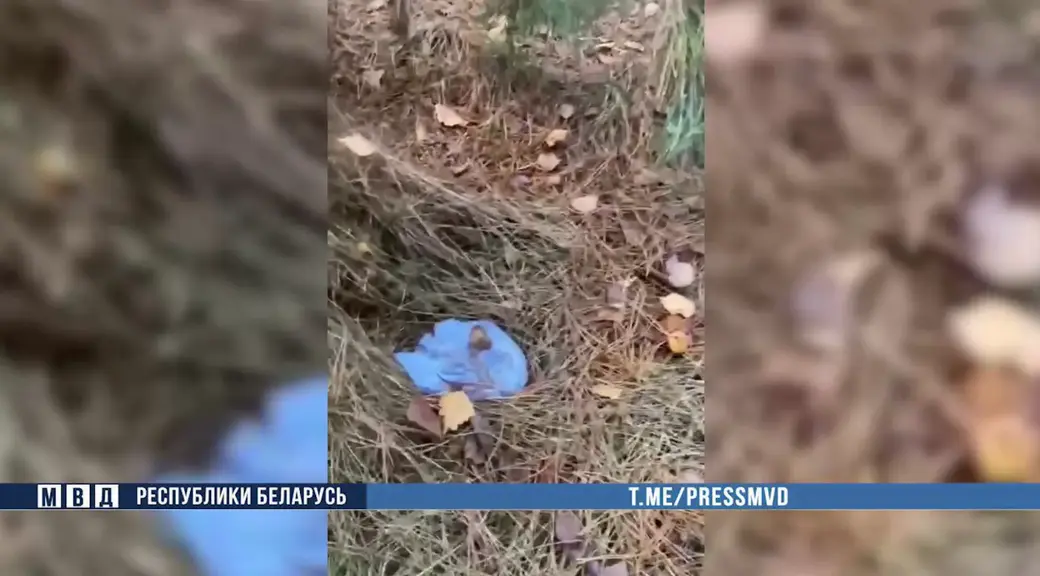 Фото: МВД РБ