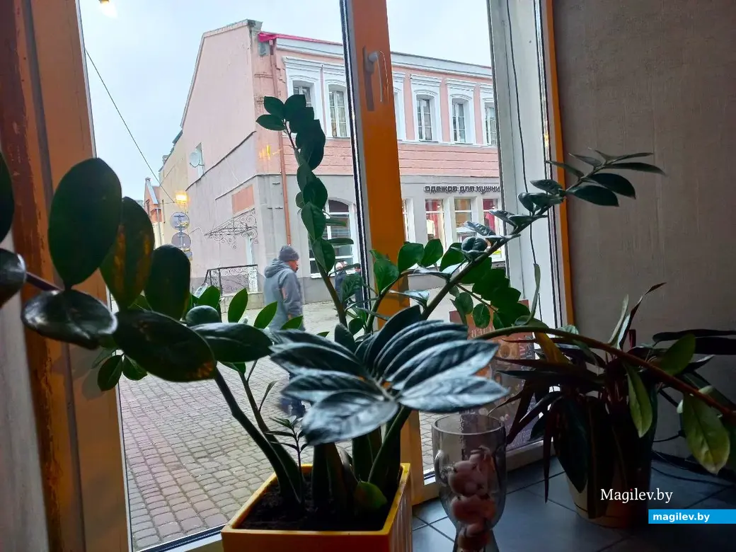 17.11.2024, Могилев, кафе «Депо».