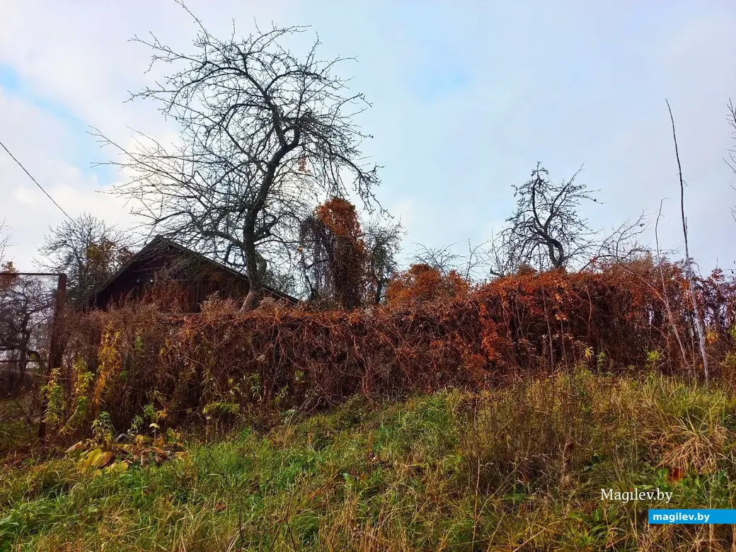 19.11.2024, Могилев. Второй Кузнецкий переулок.