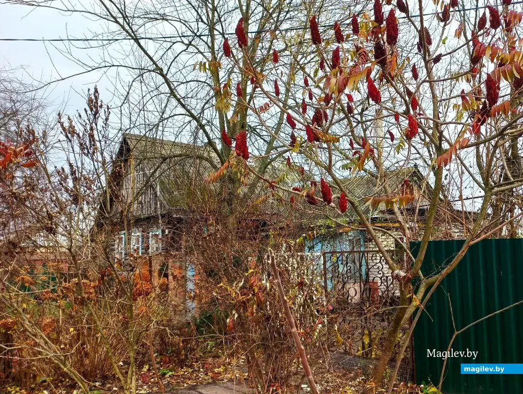 19.11.2024, Могилев. Второй Кузнецкий переулок.