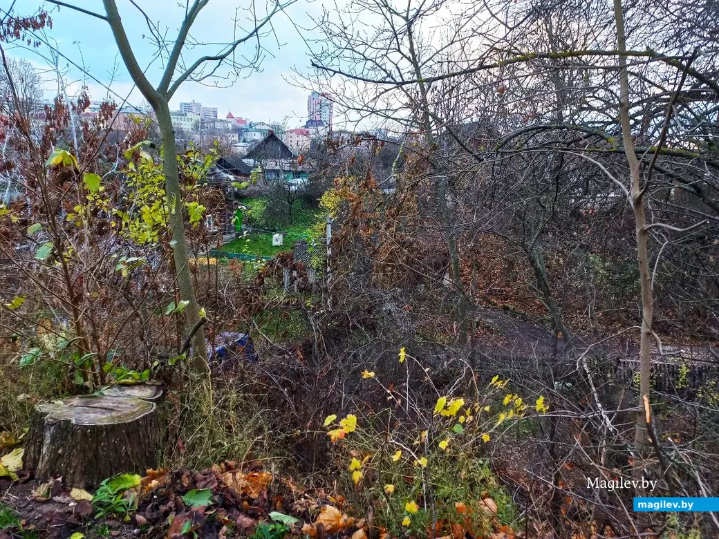 19.11.2024, Могилев. Второй Кузнецкий переулок.