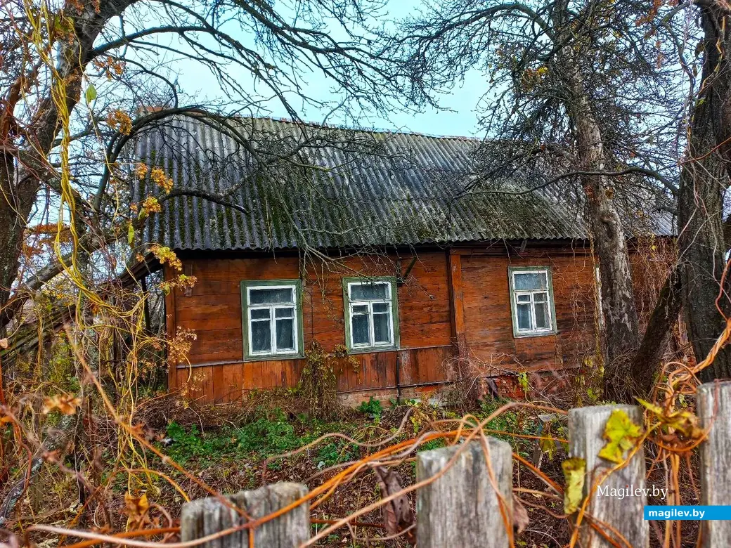 19.11.2024, Могилев. Второй Кузнецкий переулок.