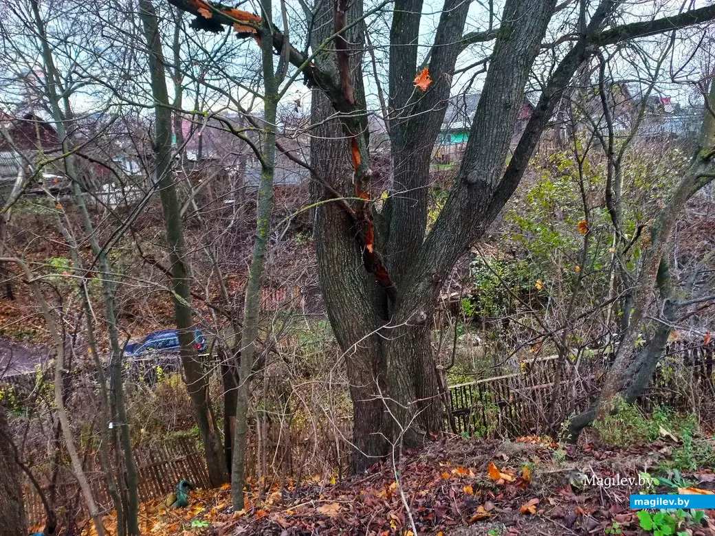 19.11.2024, Могилев. Второй Кузнецкий переулок.