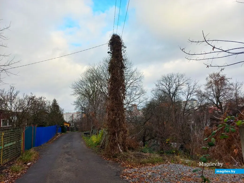 19.11.2024, Могилев. Второй Кузнецкий переулок.