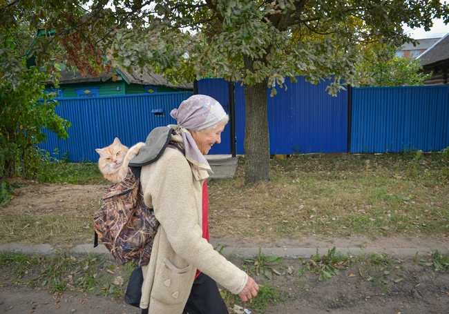 «Мартовские коты» отменяются