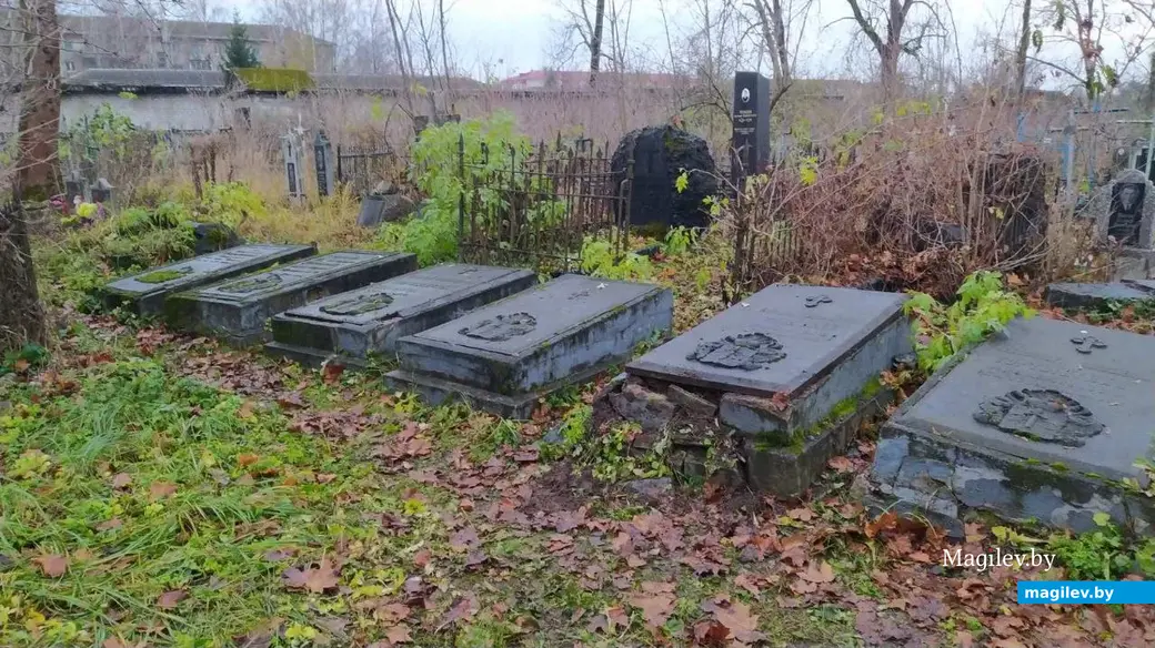 20 ноября 2024 года. Могилев. Успенское кладбище.