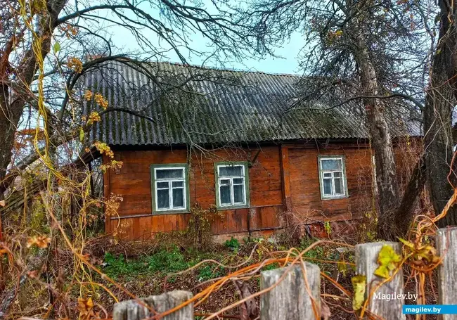 Могилев исчезающий: про кузнечное ремесло, братьев Левашовых и Майн Рида