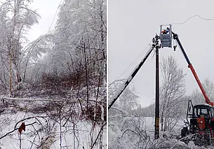 Более ста населенных пунктов Могилевской области лишились света из-за снегопада