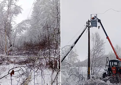 Более ста населенных пунктов Могилевской области лишились света из-за снегопада