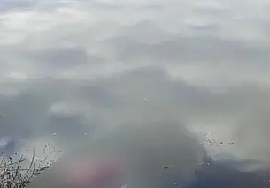 В Могилёвском районе в Днепре утонула 37-летняя женщина