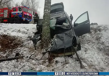 Смертельное ДТП в Чаусском районе: водитель Subaru погиб на месте аварии