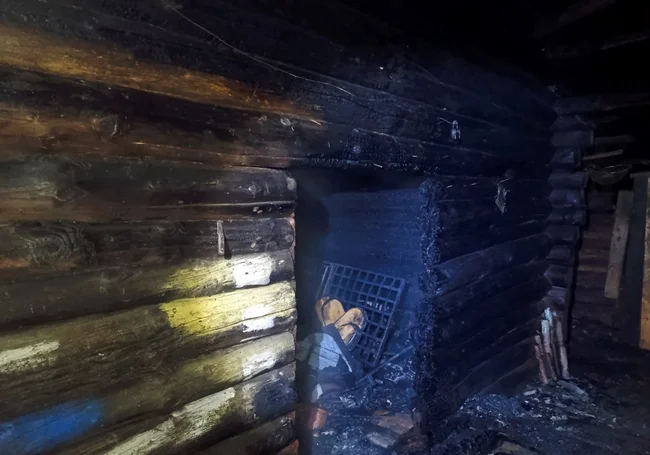 Собаки спасли хозяев на пожаре в Быховском районе