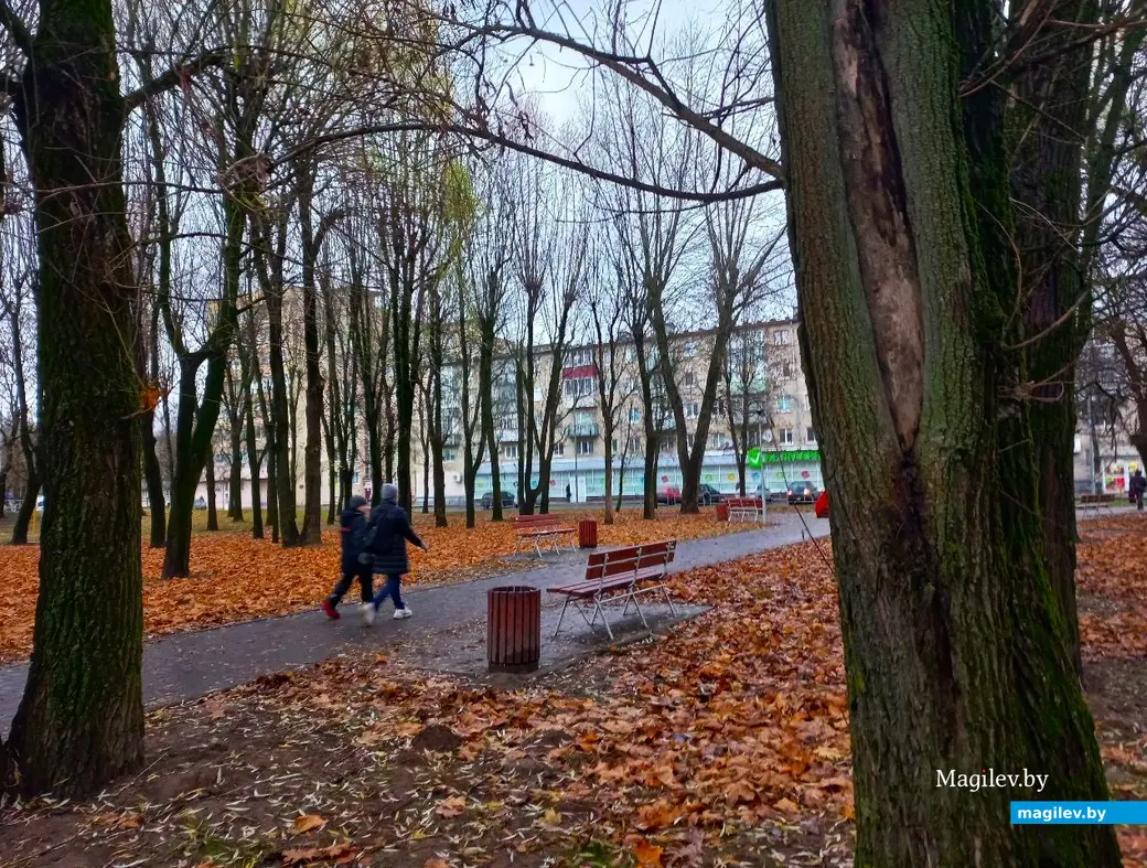 Ноябрь 2024 года, Могилев, микрорайон «Мир-2». Примерно то же самое место.