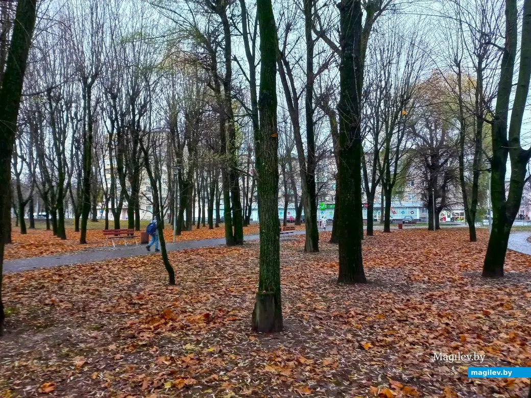 Ноябрь 2024 года, Могилев, микрорайон «Мир-2». Примерно то же самое место.